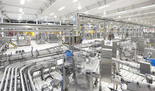 数字化转型不会让弱者变强——以人工智能基础软件开发为视角的观察